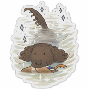 American Water Spaniel Auto-Aufkleber Aufkleber