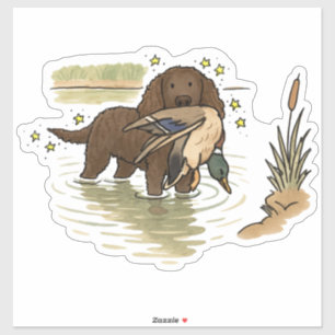 American Water Spaniel Auto-Aufkleber Aufkleber