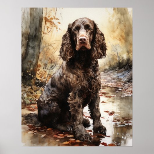 American Water Spaniel Dog Art Print Poster (Vorne)