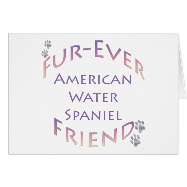 American Water Spaniel Furever (Vorderseite (Horizontal))
