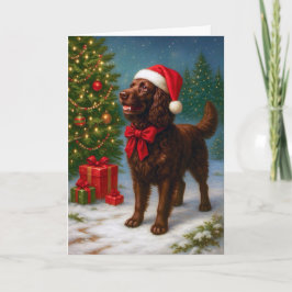 American Water Spaniel Holiday Card Feiertagskarte