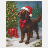 American Water Spaniel Holiday Fleecedecke (Vorderseite)