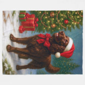 American Water Spaniel Holiday Fleecedecke (Vorderseite (Horizontal))