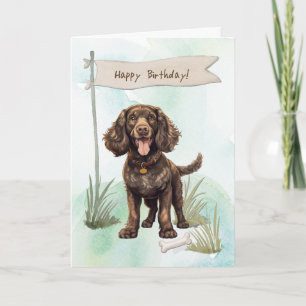 American Water Spaniel Hund unter Geburtstagszeich Karte
