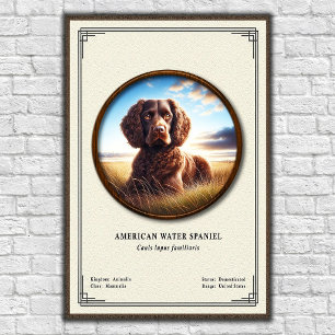 American Water Spaniel Zoologie-Serie Poster