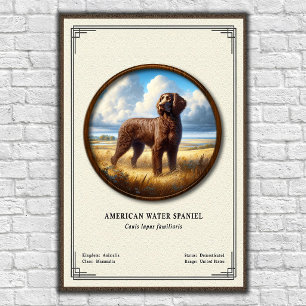 American Water Spaniel Zoologie-Serie Poster