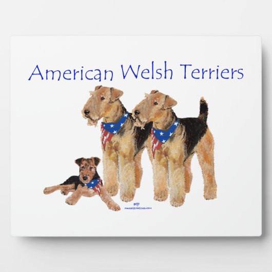 American Welsh Terriers Fotoplatte (Vorderseite)