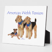 American Welsh Terriers Fotoplatte (Seite)