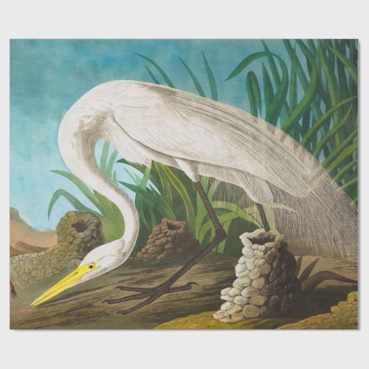 American White Heron von John James Audubon Geschenkpapier (Flach)