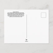 American White Ibis Postkarte (Rückseite)