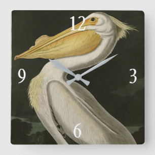 American White Pelican, Audubon's Birds of America Quadratische Wanduhr