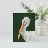 American White Pelican Bird Postcard Postkarte (Stehend Vorderseite)
