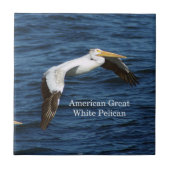 American White Pelican Fliese (Vorderseite)