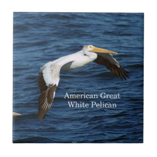 American White Pelican Fliese