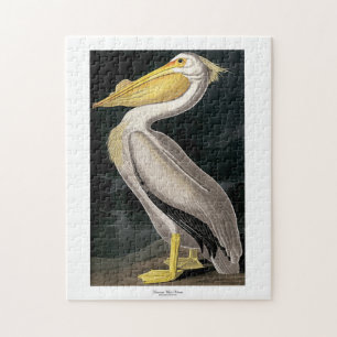 American White Pelican John James Audubon 11 x 14 Puzzle