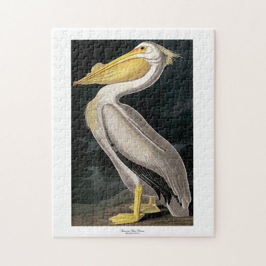 American White Pelican John James Audubon 11 x 14 Puzzle (Vertikal)