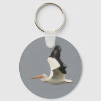 American White Pelican