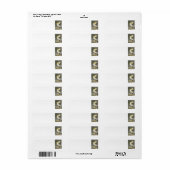 American White Pelican von Audubon (Vorne)