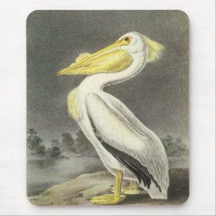 American White Pelican von Audubon Mousepad