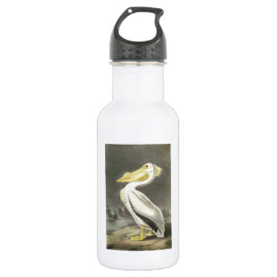 American White Pelican von Audubon Trinkflasche