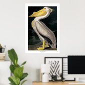 American White Pelican von John James Audubon Poster (Heimbüro)