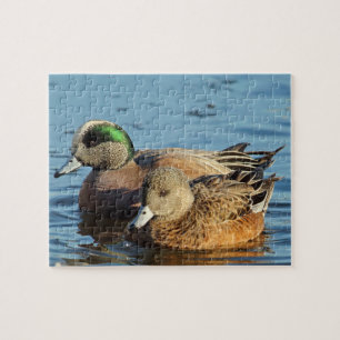 American Widgeon Encks (Drake und Hen) Puzzle