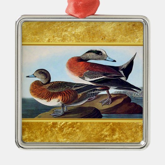 American Widgeon Enten auf Felsen Silbernes Ornament (Vorne)