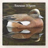 American Widgeon on Pond Wildlife Foto Glasuntersetzer (Vorderseite)