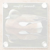 American Widgeon on Pond Wildlife Foto Glasuntersetzer (Rückseite)