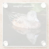 American Widgeon Wildlife Foto Glasuntersetzer (Rückseite)