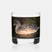 American Wigeon Duck Hen on Pond Whiskyglas (Vorderseite)