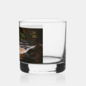 American Wigeon Duck Hen on Pond Whiskyglas (Links)