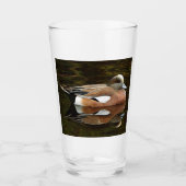 American Wigeon Duck on Pond Glas (Vorderseite)