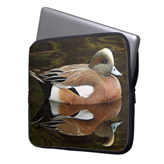 American Wigeon Duck on Pond Laptopschutzhülle (Vorderseite Links)