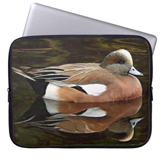 American Wigeon Duck on Pond Laptopschutzhülle (Vorderseite)