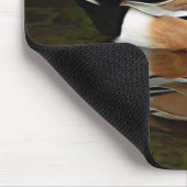 American Wigeon Duck on Pond Mousepad (Ecke)