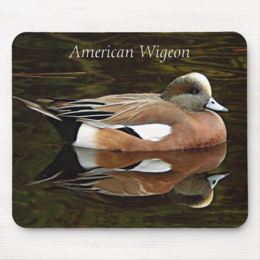 American Wigeon Duck on Pond Mousepad (Vorne)