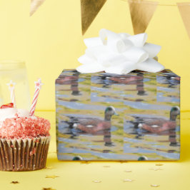 American Wigeon Geschenkpapier