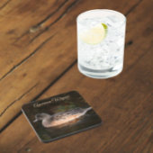 American Wigeon Pond Wildlife Foto Getränkeuntersetzer