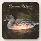 American Wigeon Pond Wildlife Foto Getränkeuntersetzer (Vorderseite)