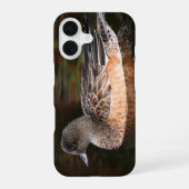 American Wigeon Pond Wildlife Foto iPhone 16 Hülle (Rückseite)