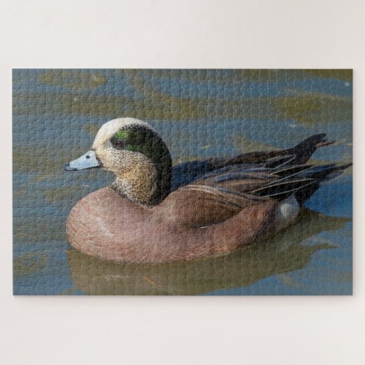 American Wigeon Puzzle (Horizontal)