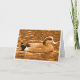 American Wigeon Vielen Dank für Ihre Hilfe Dankeskarte