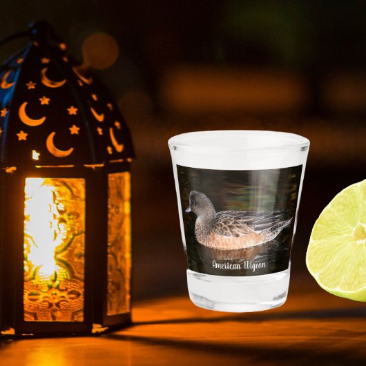 American Wigeon Wildlife Foto Schnapsglas