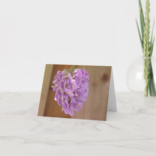 American wisteria (Wisteria frutescens) card Feiertagskarte (Vorderseite)
