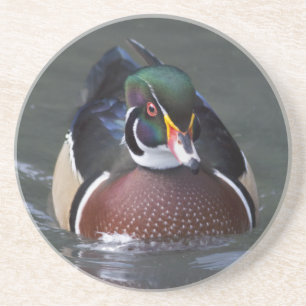 American Wood Duck Untersetzer
