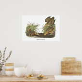 American Woodcock, John Audubon Print Poster (Küche)