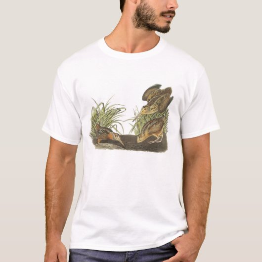 American Woodcock von Audubon T-Shirt (Vorderseite)