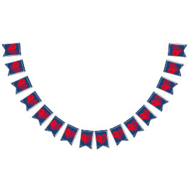 Americana 4. Juli Bunting Wimpelkette