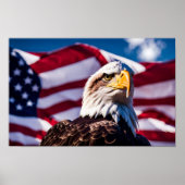 Americana Eagle Poster (Vorne)